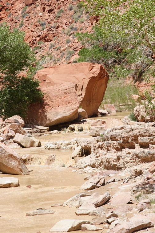 Jeffs Paria Canyon 2010 496